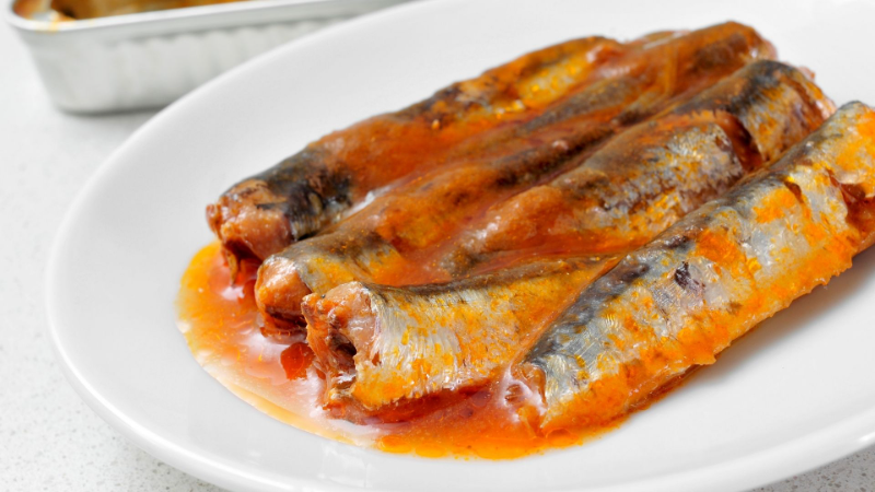 alternatif sumber protein